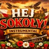 Hej sokoły (karaoke, wersja instrumentalna biesiadna)